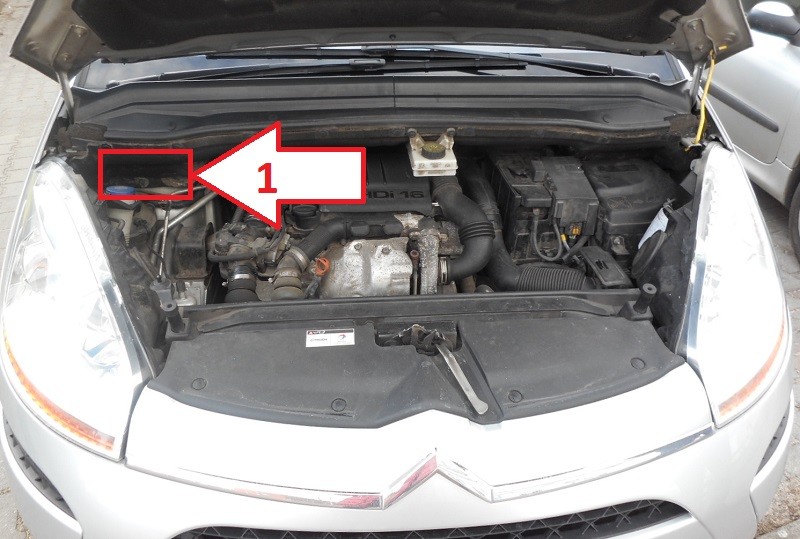 Citroën C4 (2007-2013) - Where Is Vin Number | Find Chassis Number